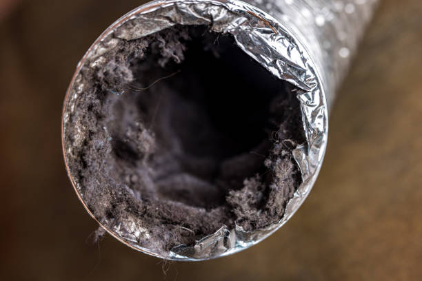 Best Local Air Duct Cleaning Services  in Washington, IA